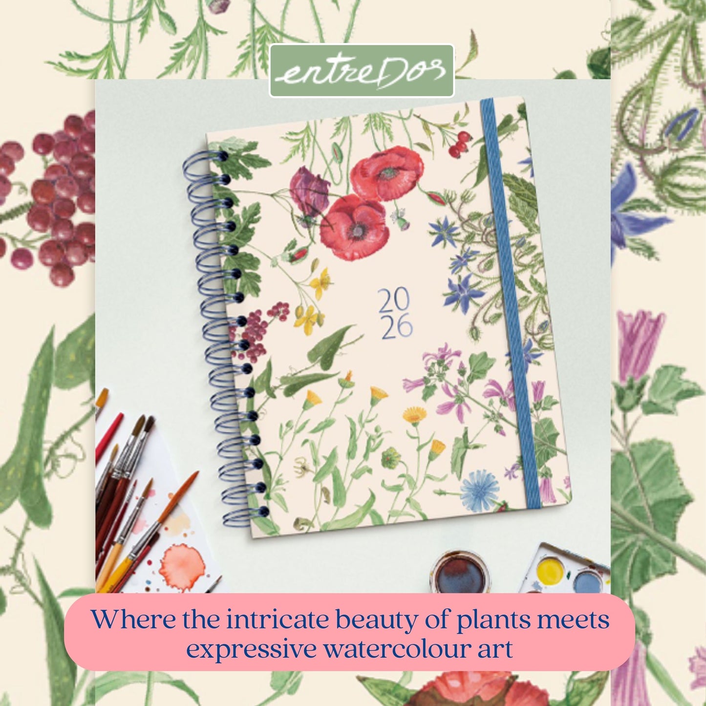 [SG] APLI MIQUELRIUS 2026 155 x 213mm Daily Double Spiral Planner [Evergreen Stationery]