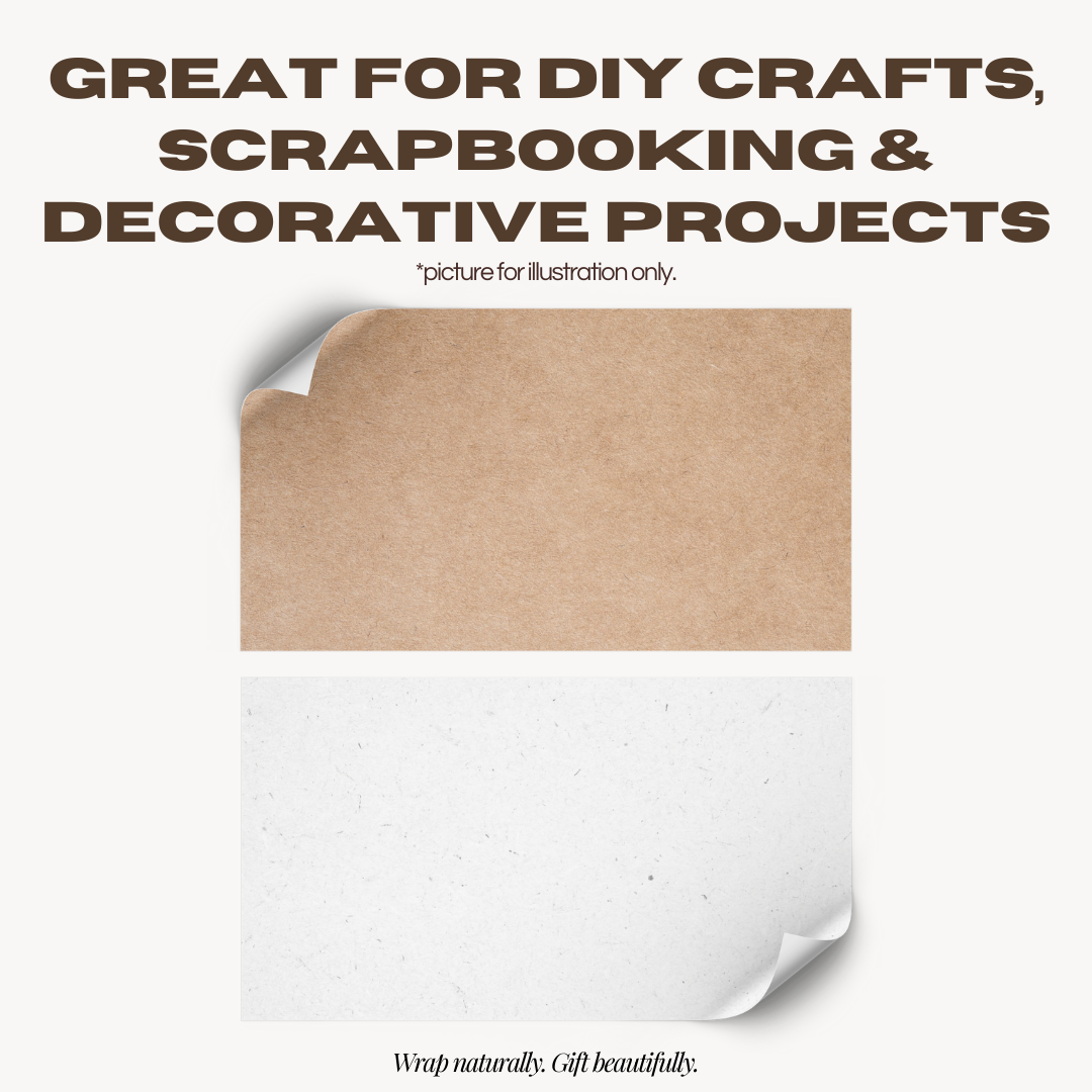 [SG] APLI Kraft Paper Roll – Nature Life Design | 1m x 3m Eco Gift Wrapping Paper [Evergreen Stationery]