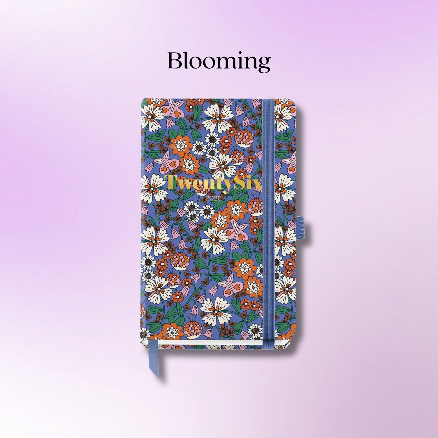 [SG] APLI MIQUELRIUS 2026 Passport Size Week to View HardCover Spiral Bound Elastic Closure Diary [Evergreen Stationery]