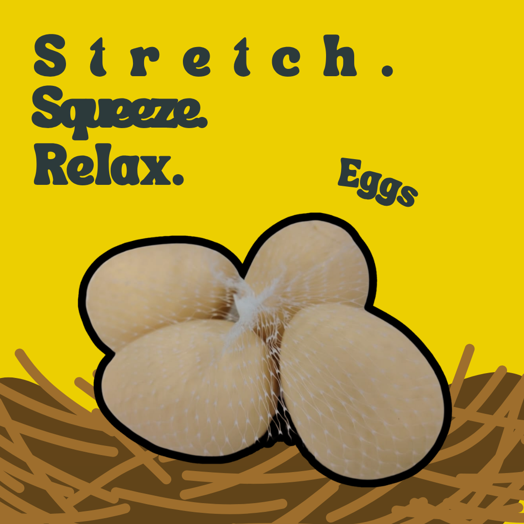 [SG] Chicken & Eggs Stress Relief Squishy Toy [Evergreen Stationery]