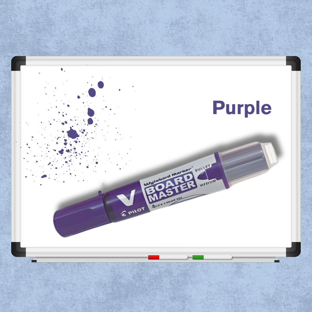 [SG] Pilot V Board Master Whiteboard Markers/ Refills | Medium Bullet [Evergreen Stationery]