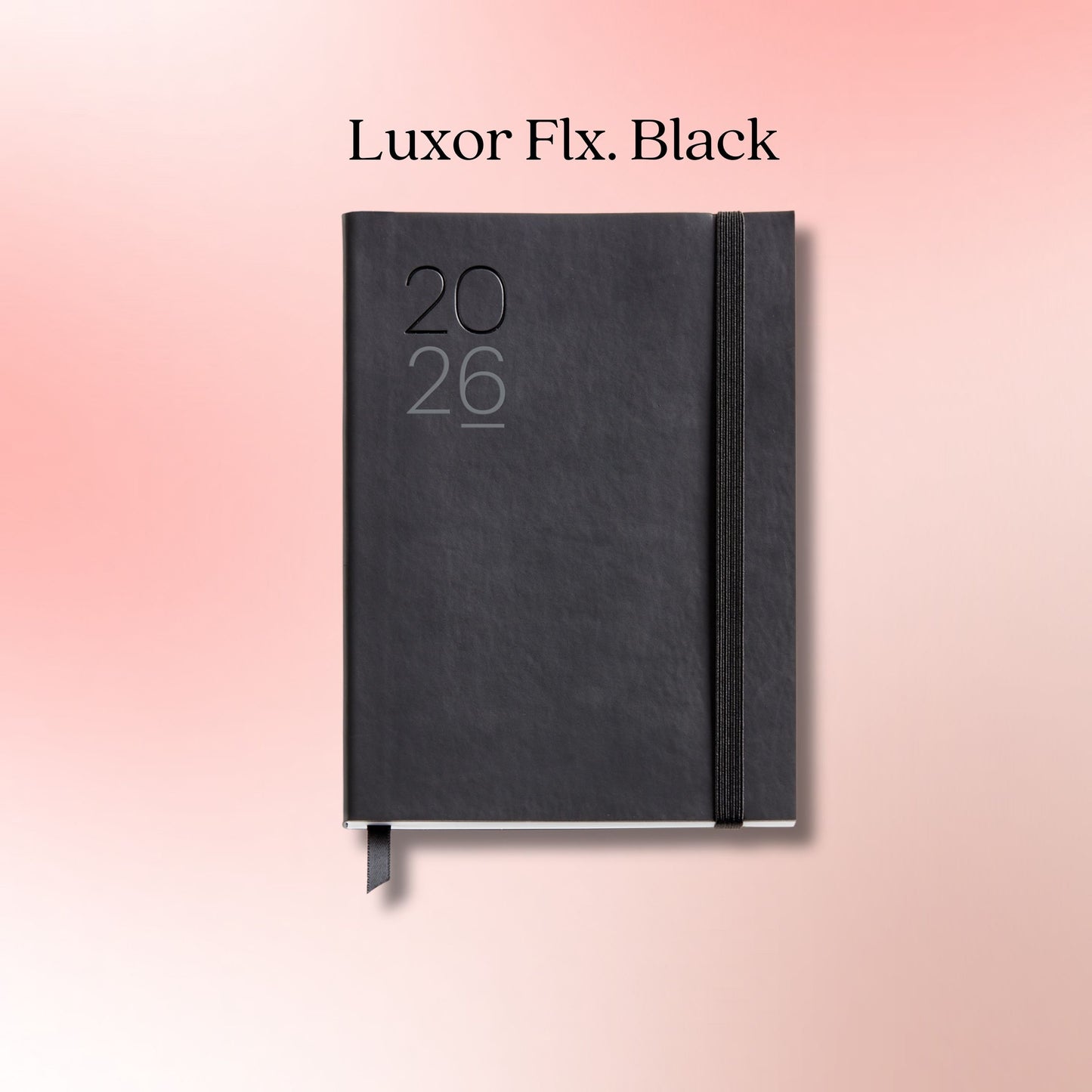 [SG] APLI MIQUELRIUS 2026 122x 168mm Day To Page HardCover Diary [Evergreen Stationery]