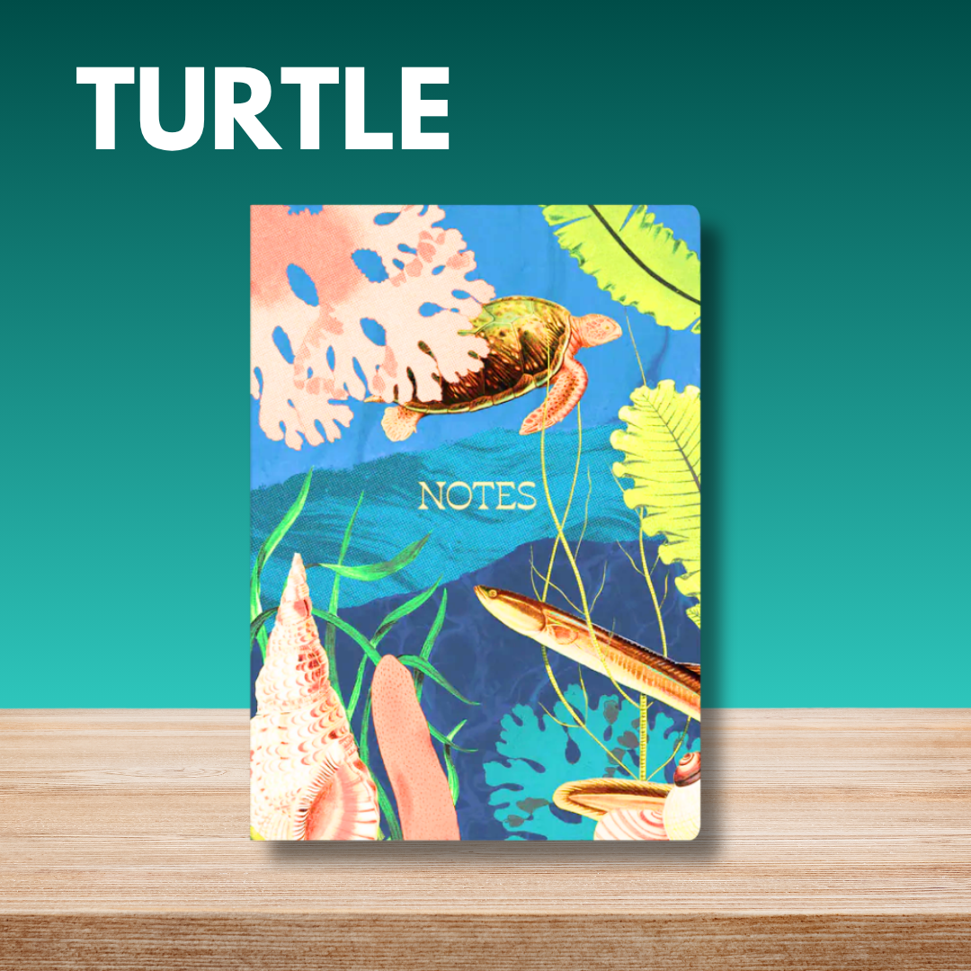 Collins A5 Ruled Recycled Notebook Collection