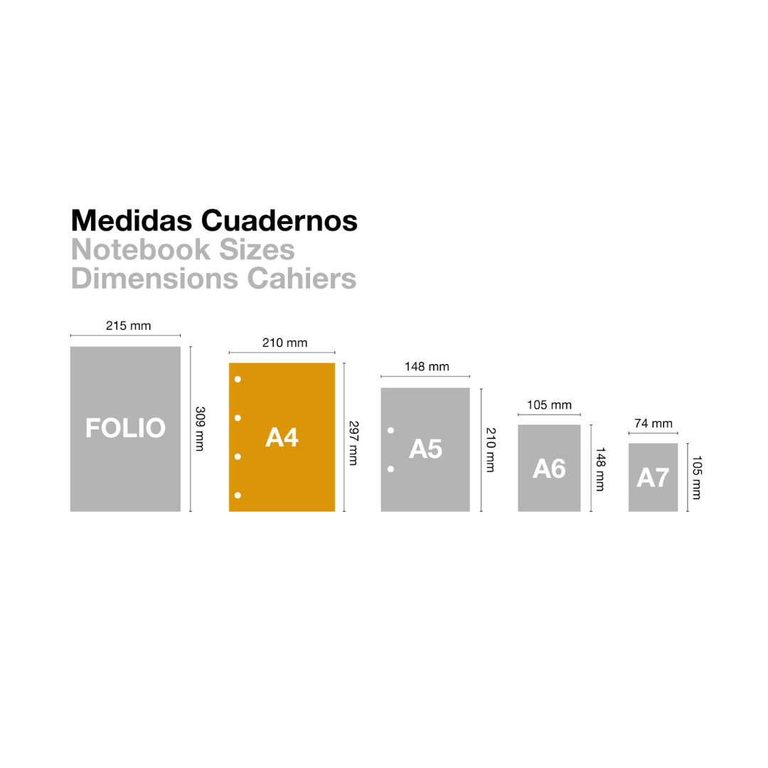 [SG] Apli Miquelrius Econavy Notebook A4 Lined [Evergreen Stationery]