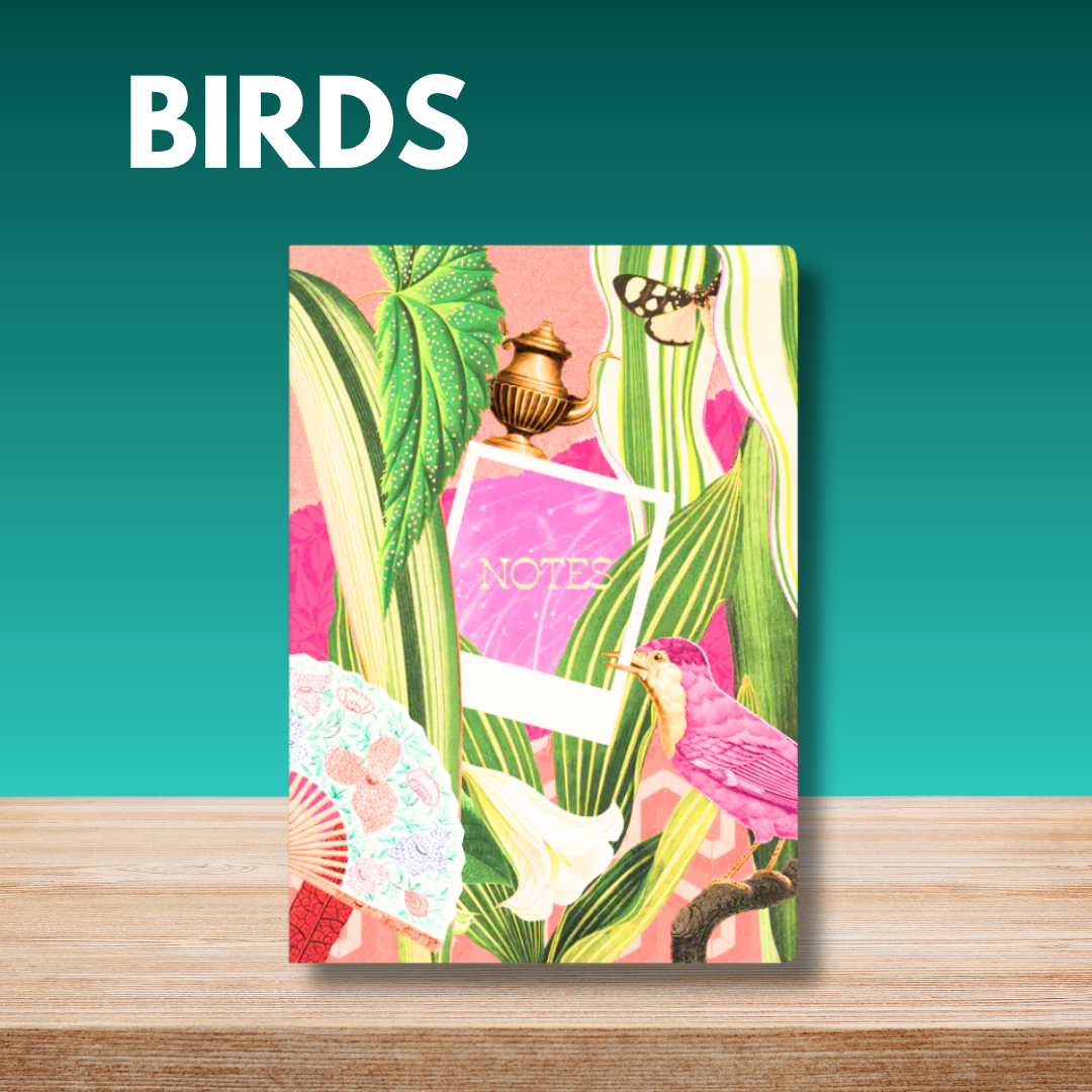 Collins A5 Ruled Recycled Notebook Collection