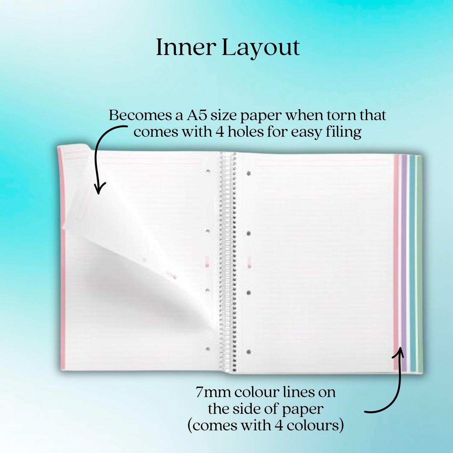 [SG] APLI MIQUELRIUS A4 Spiral Bound Notebook | Aurora Series [Evergreen Stationery]