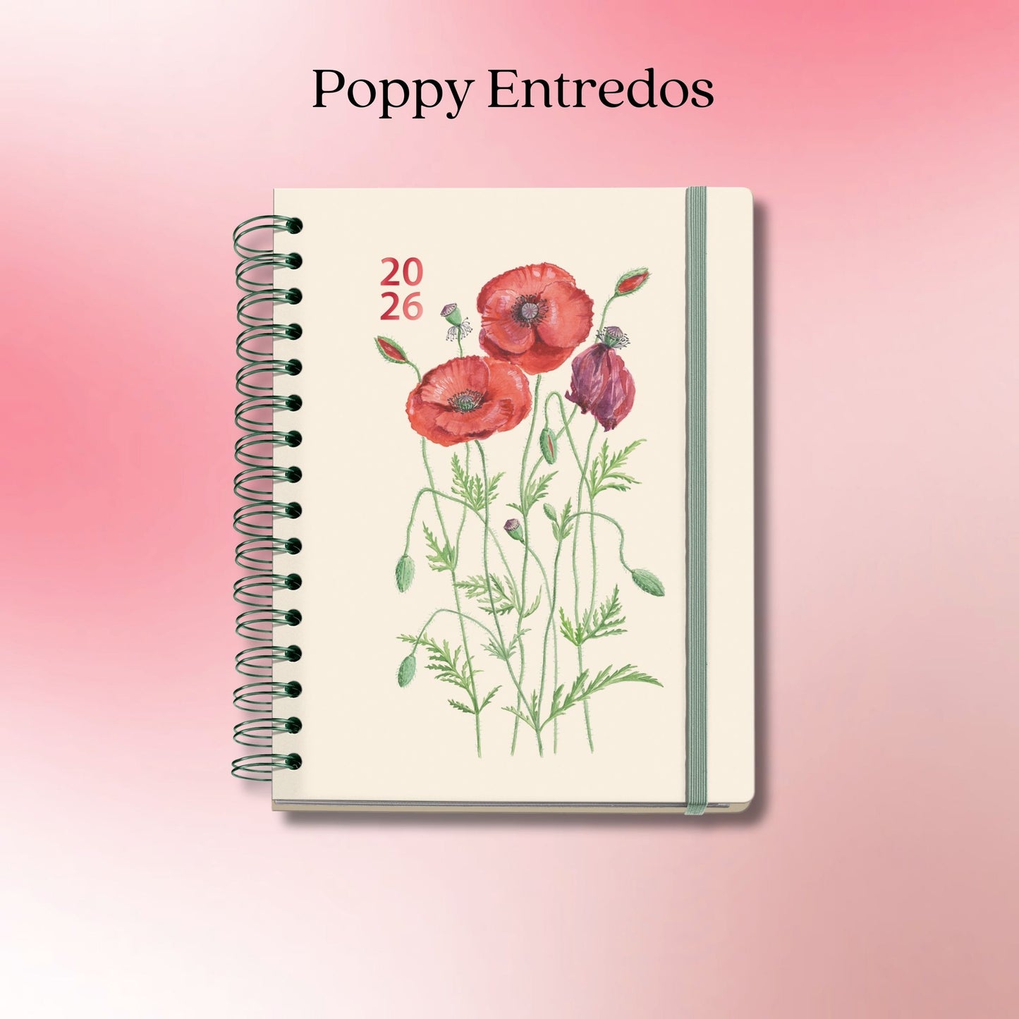 [SG] APLI MIQUELRIUS 2026 155 x 213mm Daily Double Spiral Planner [Evergreen Stationery]