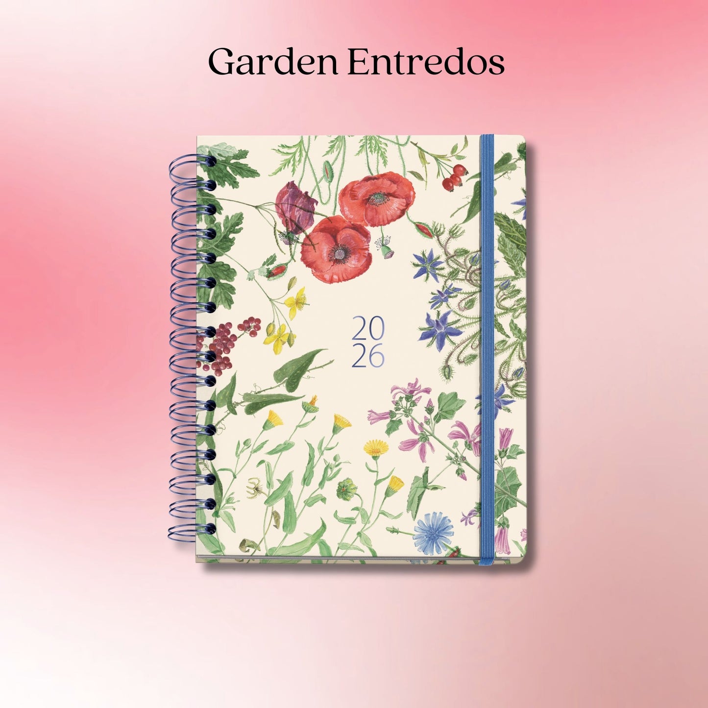 [SG] APLI MIQUELRIUS 2026 155 x 213mm Daily Double Spiral Planner [Evergreen Stationery]