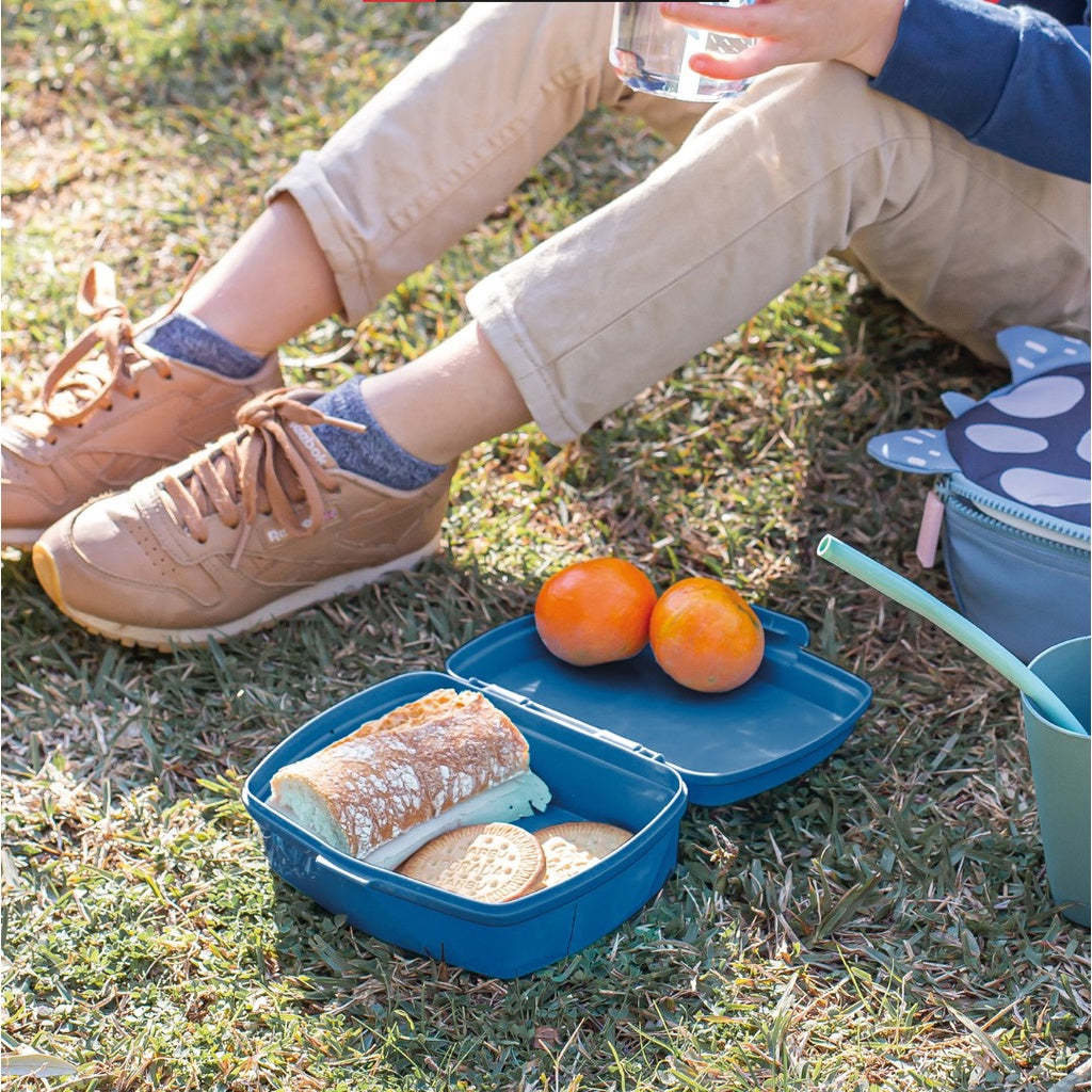 [SG] Apli Miquelrius Space Travel Bottle | Lunch box [Evergreen Stationery]
