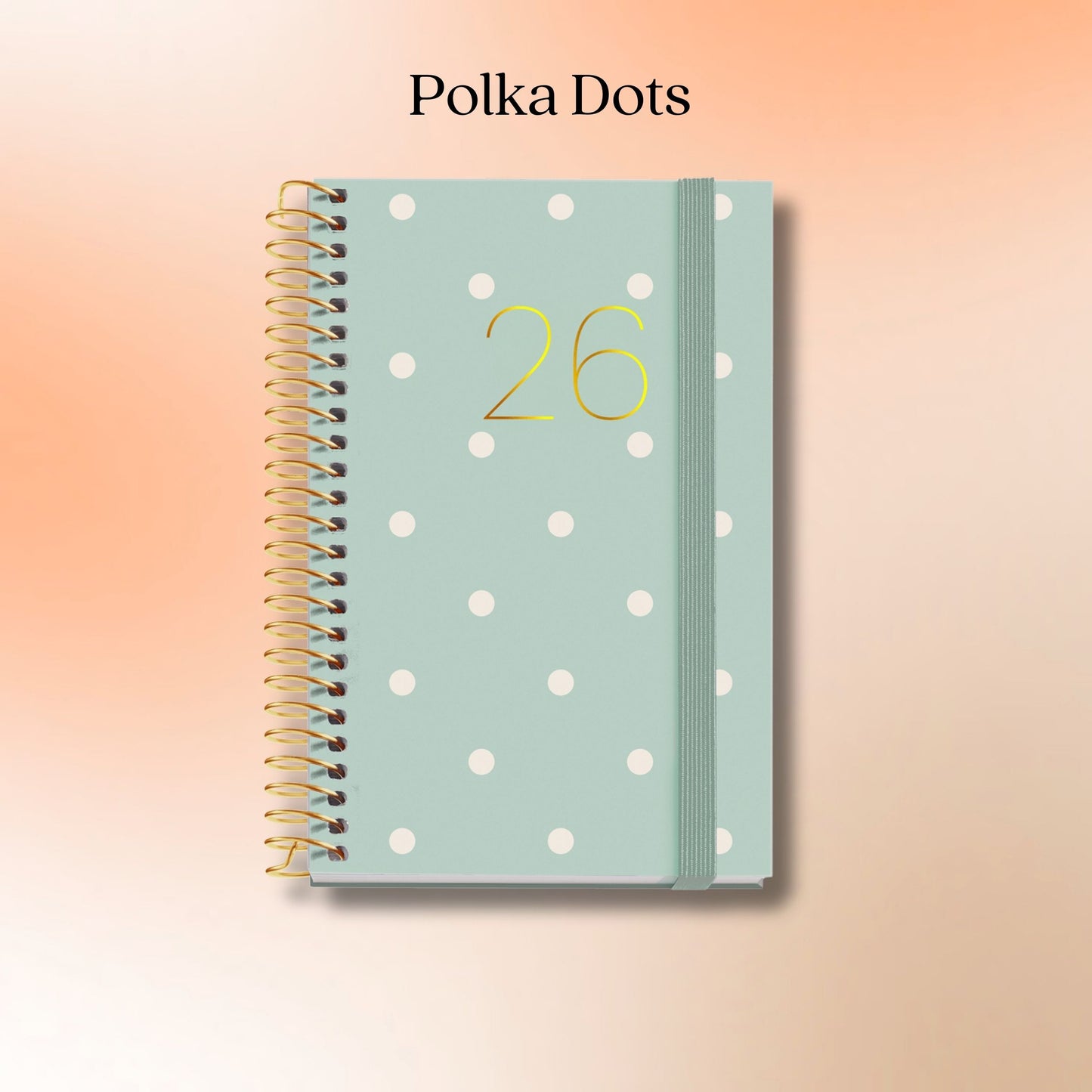 [SG] APLI MIQUELRIUS 2026 A6 Small and Portable Weekly Planner [Evergreen Stationery]