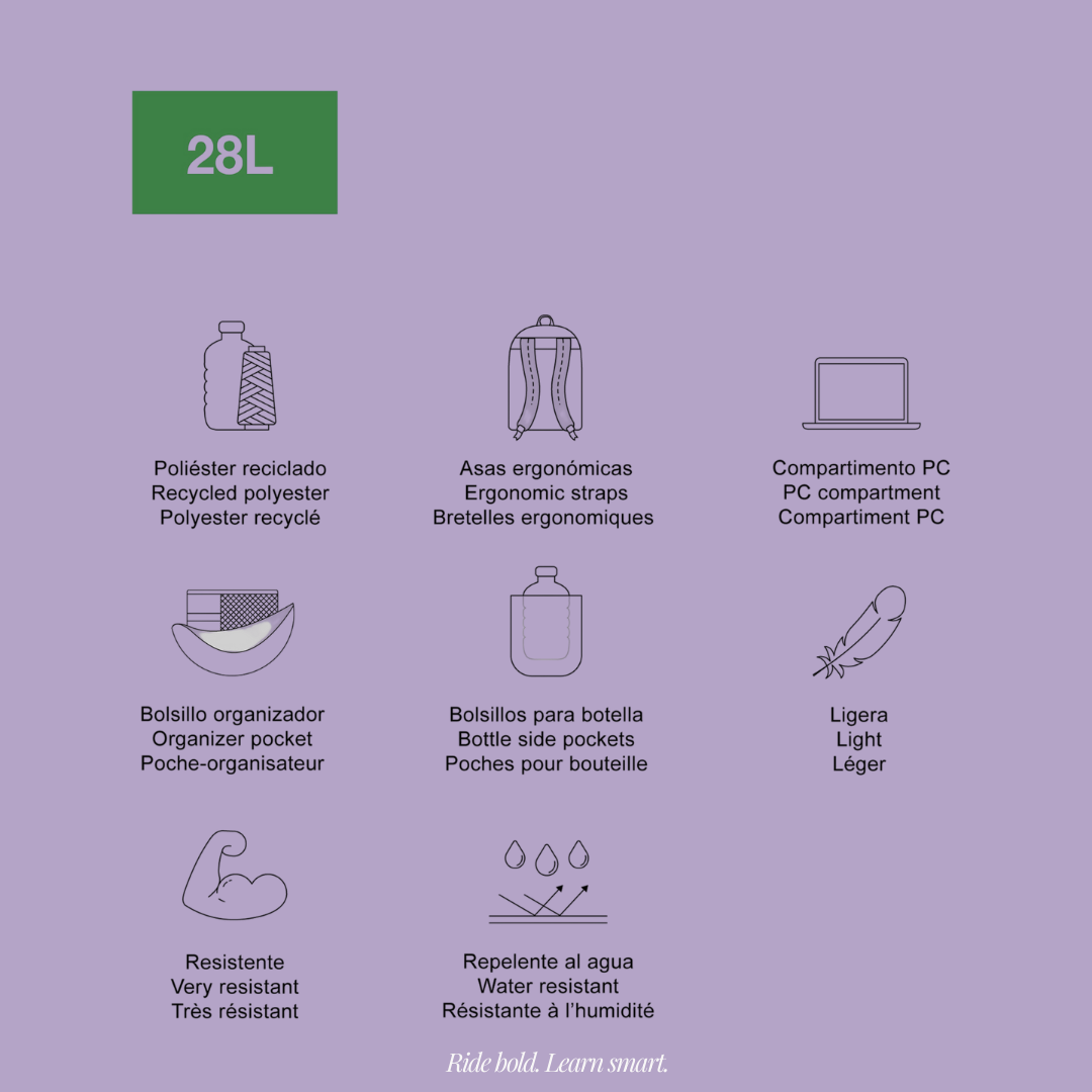 [SG] APLI Amsterdam Backpack – 3 Compartment School Bag | Rider SQ Design [Evergreen Stationery]