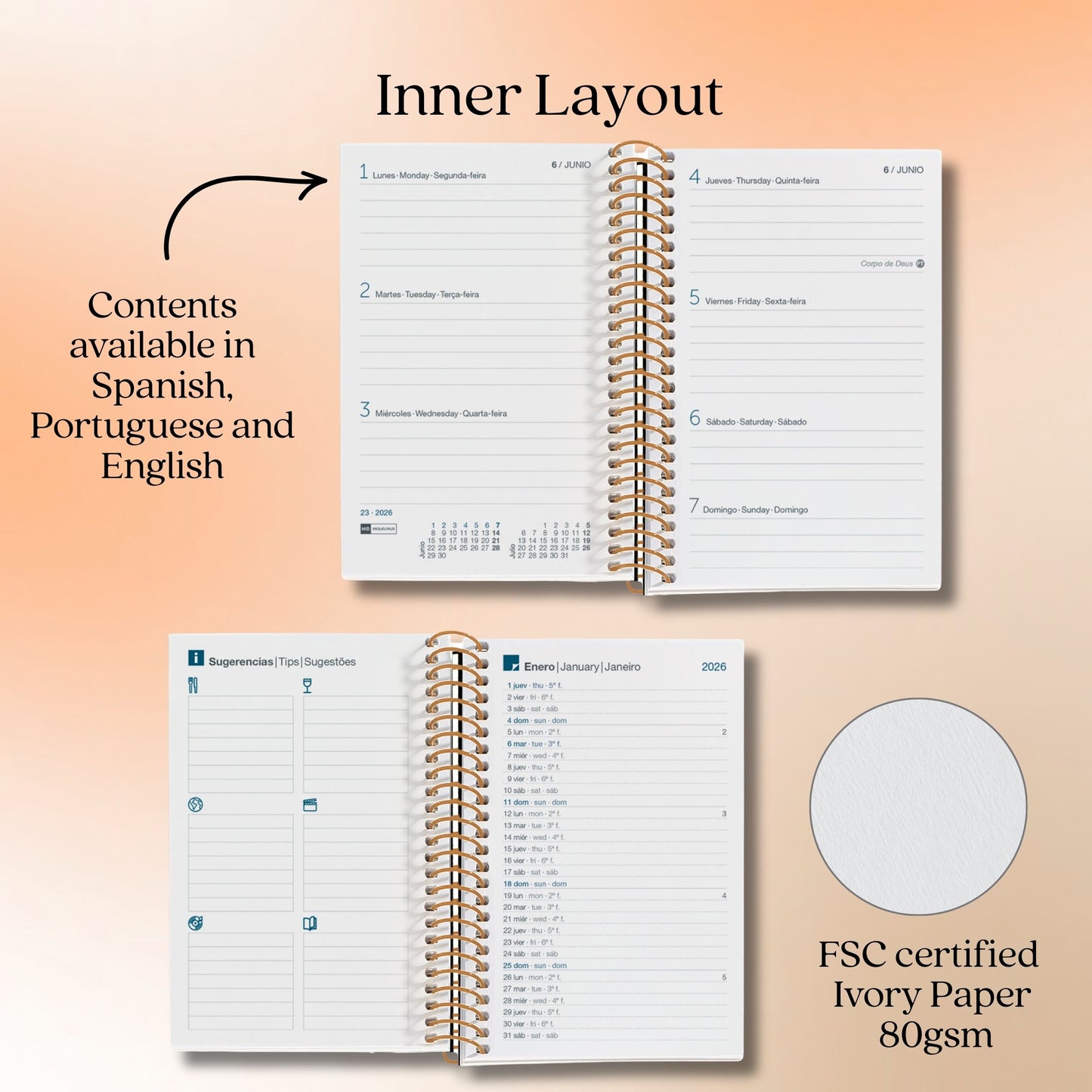 [SG] APLI MIQUELRIUS 2026 A6 Small and Portable Weekly Planner [Evergreen Stationery]