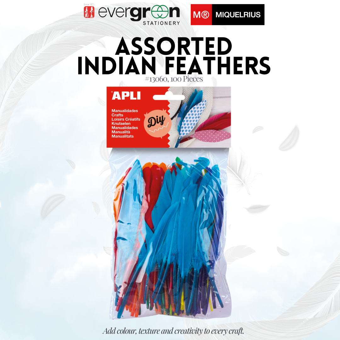 [SG] APLI Assorted Indian Feathers 100pcs – Craft & Decoration [Evergreen Stationery]