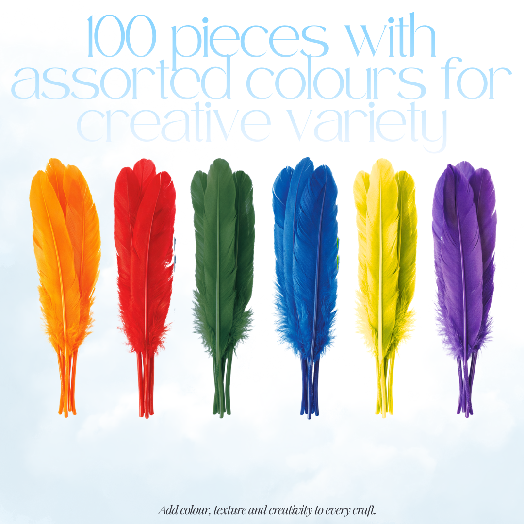[SG] APLI Assorted Indian Feathers 100pcs – Craft & Decoration [Evergreen Stationery]