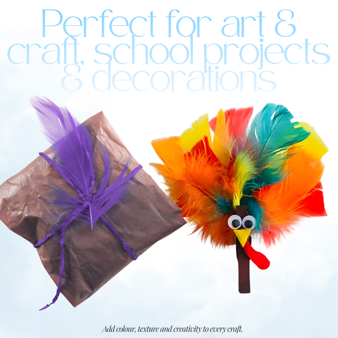 [SG] APLI Assorted Indian Feathers 100pcs – Craft & Decoration [Evergreen Stationery]