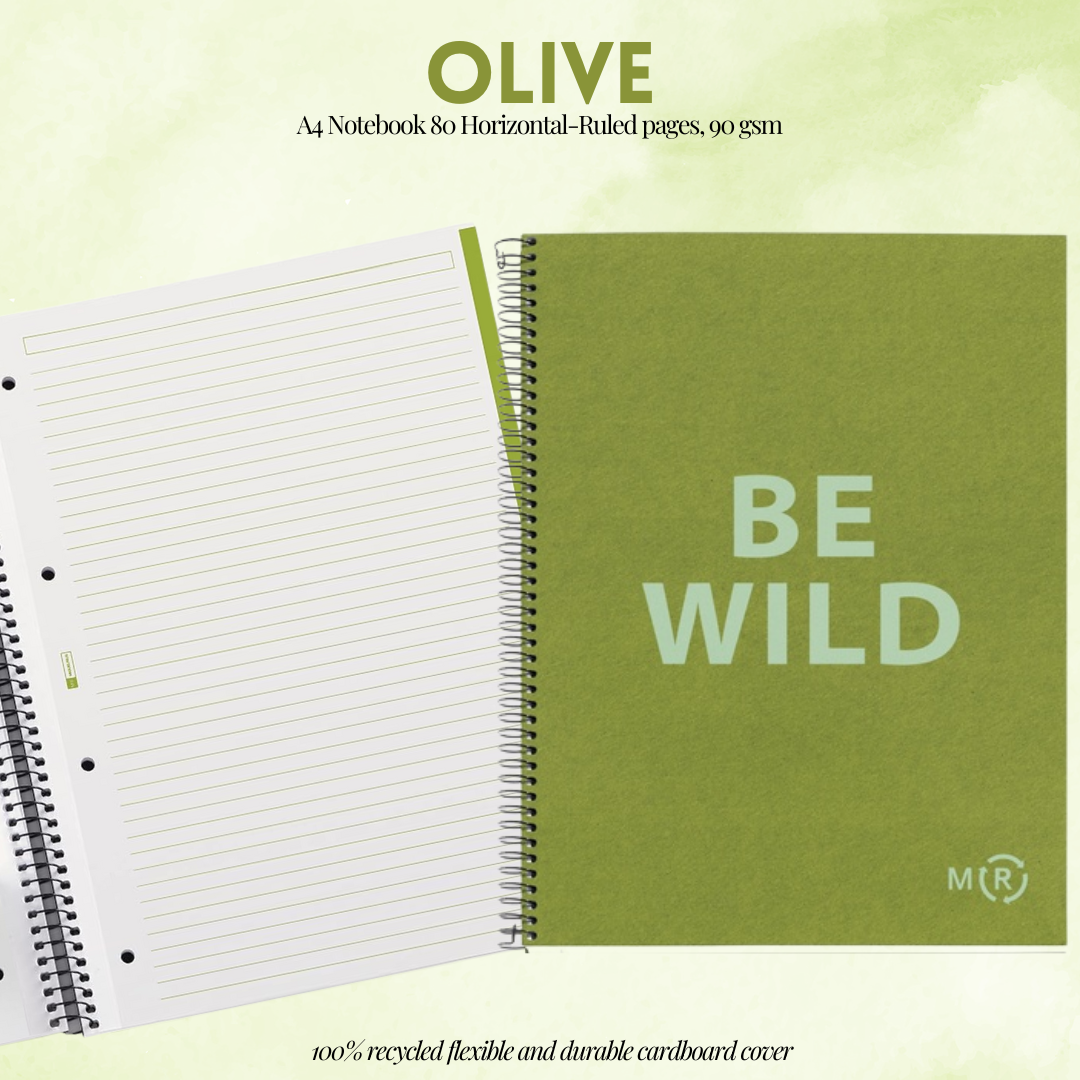 [SG] APLI BE Eco A4 Notebook 80 Pages 90gsm Horizontal – Multi Colours [Evergreen Stationery]