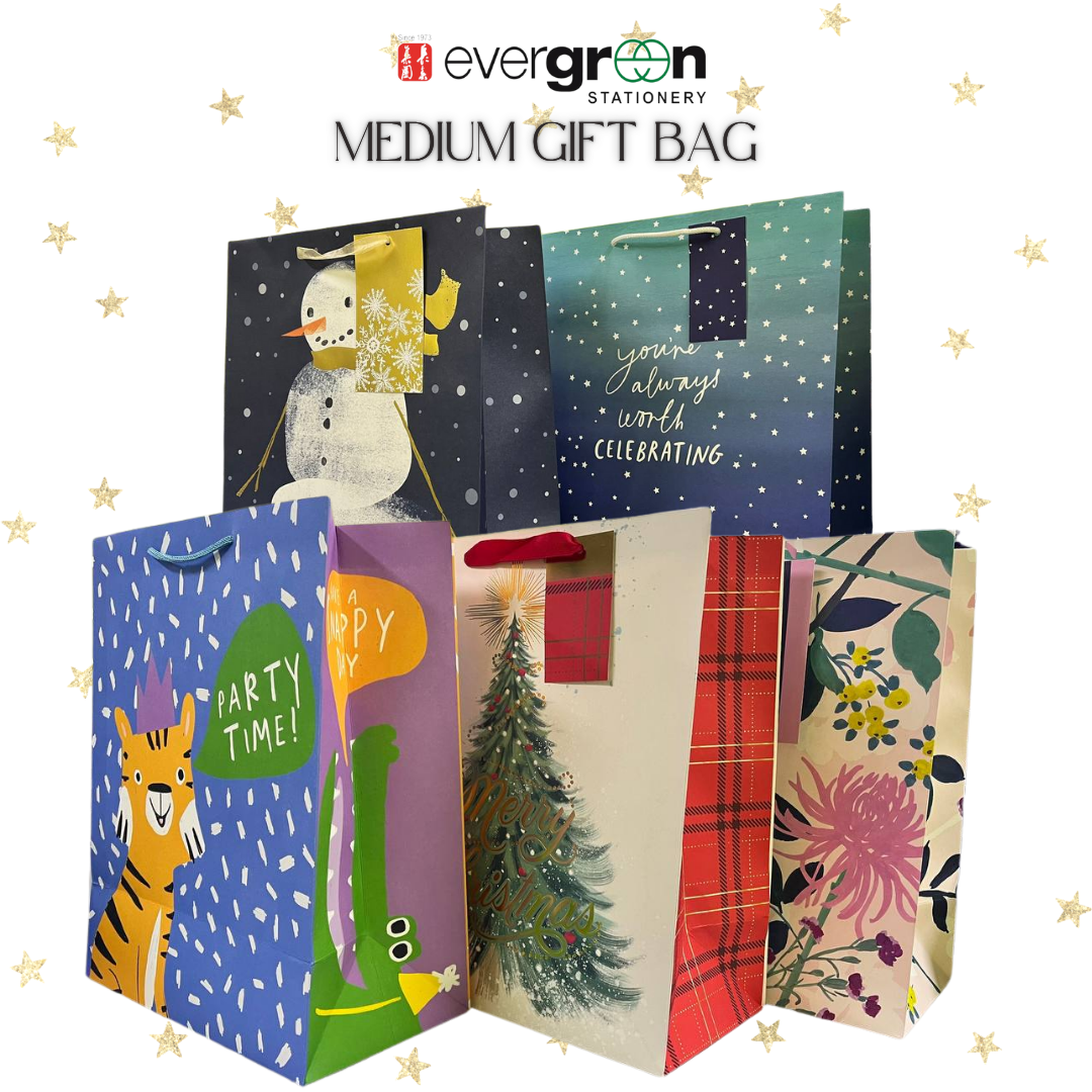 [SG] DDD Medium Gift Bag [Evergreen Stationery]