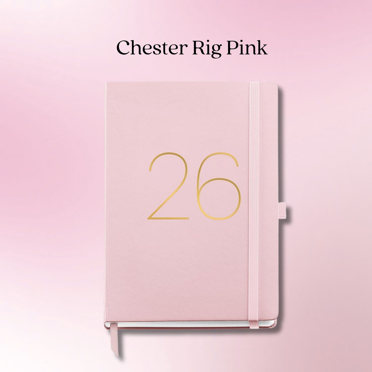 [SG]APLI 2026 A5 Day to Page Flexible Sewn Faux Leather Cover Diary | Chester Rig Series [Evergreen Stationery]