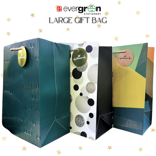 [SG] DDD Large Paper Gift Bag [Evergreen Stationery]