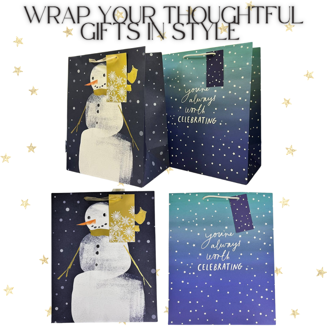 [SG] DDD Medium Gift Bag [Evergreen Stationery]