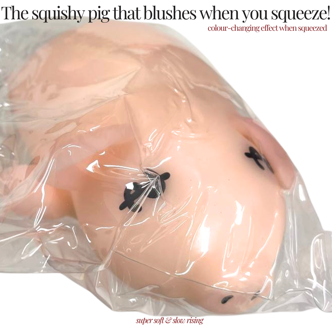 [SG] Animal Squishy Collection – Colour Changing Duck, Pig & Panda Slow-Rise Stress Relief Toys [Evergreen Stationery]