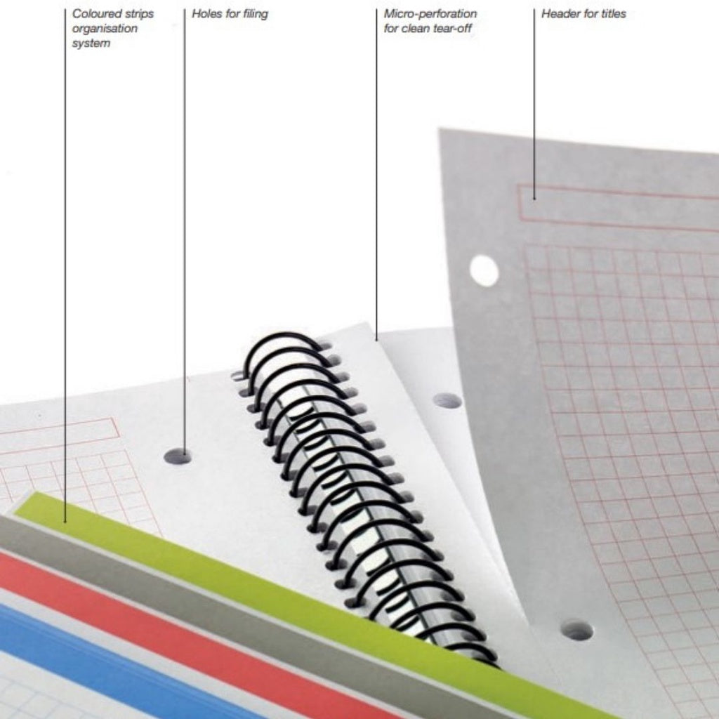 [SG] ECO MIQUELRIUS 6083 Ecoblue Notebook A4 & A5 (SQUARED & LINED, 120 sheets) [Evergreen Stationery]