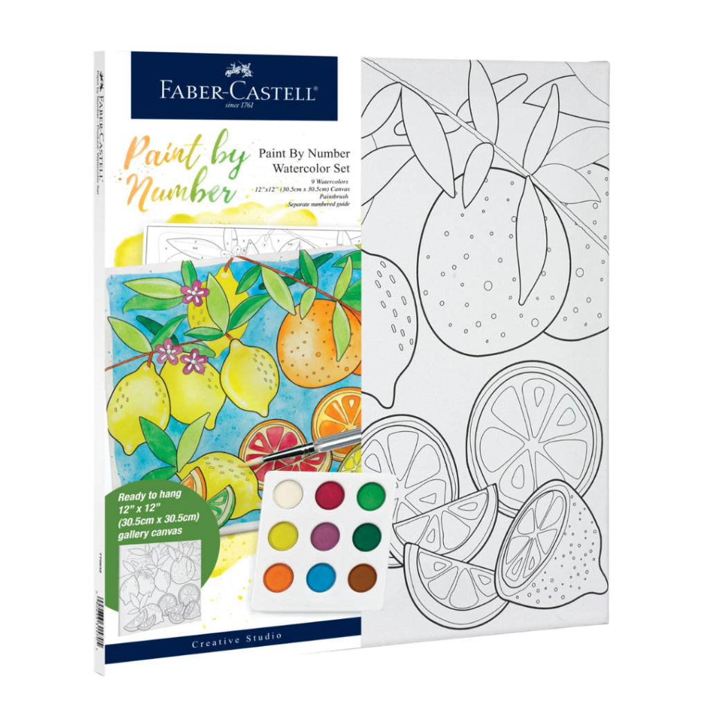 [SG] Faber-Castell Paint by Number Gallery Canvas Watercolor Set 12” x 12” [Evergreen Stationery]
