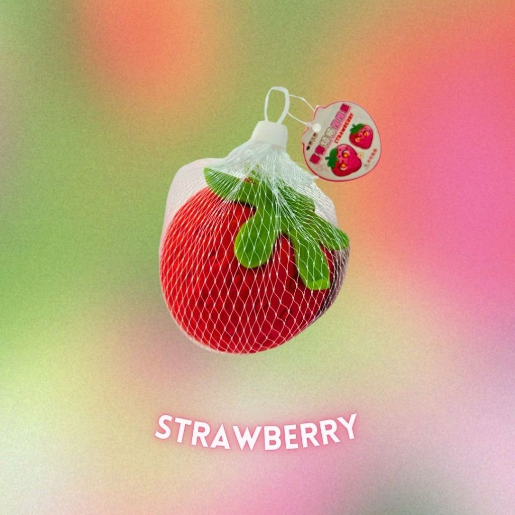 [SG] Fruits Squish Toy [Evergreen Stationary]