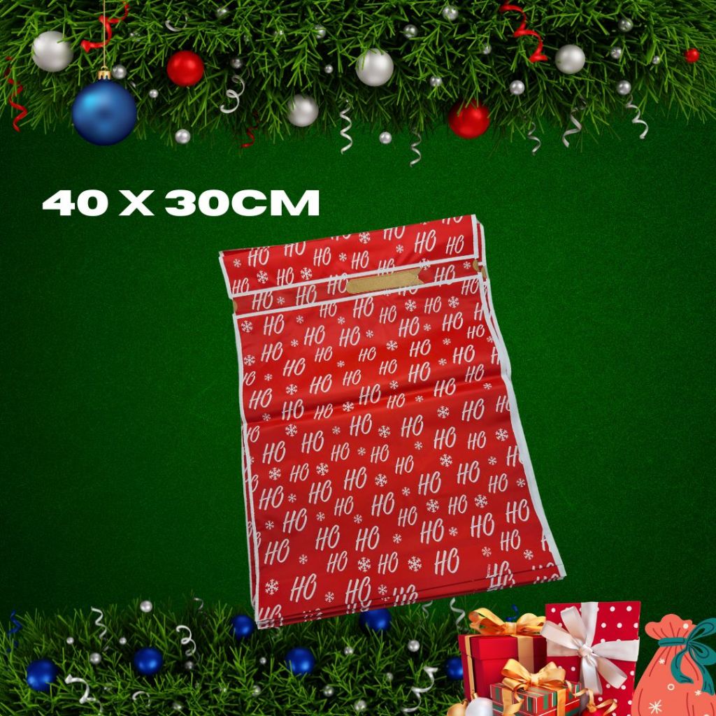 [SG] Assorted Christmas Bags (10pcs/Pack) [Evergreen Stationery]